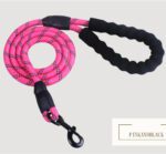 Reflective Dog Leash with Padded Handle