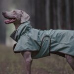 Premium Waterproof Dog Hiking Jacket Windproof All Weather