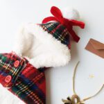 Christmas Plaid Dog Cape with Hat