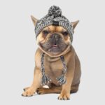 Warm Knit Dog Beanie Hat