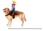 Riding Cowboy Dog Costume