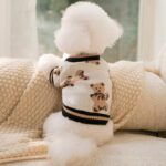 Dog Cat Sweater Preppy V-Neck Striped Vest