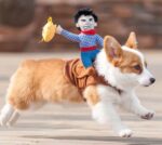 Riding Cowboy Dog Costume