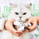 LED Light Pet Nail Clipper