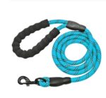 Reflective Dog Leash with Padded Handle