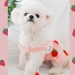 Strawberry Princess Dress For Dog&Cat Thin Sweet