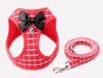 Cat Chain Traction Rope Set - Chest Harness for Cats