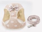 Cat Chain Traction Rope Set - Chest Harness for Cats