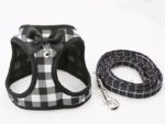 Cat Chain Traction Rope Set - Chest Harness for Cats