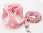Cat Chain Traction Rope Set Chest Harness for Cats