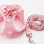 Cat Chain Traction Rope Set Chest Harness for Cats