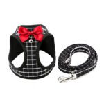 Cat Chain Traction Rope Set - Chest Harness for Cats