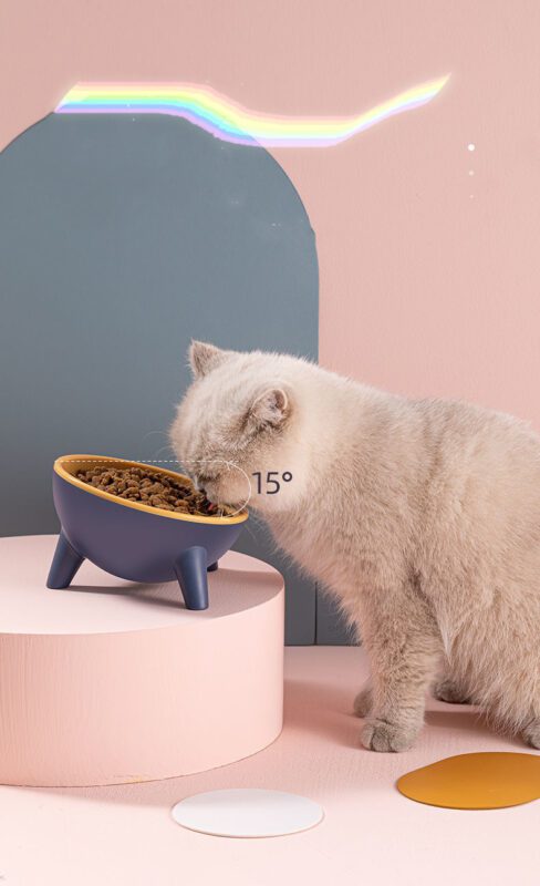 Cat Dog Bowl With Stand - Bunny Raised Pet Feeding Bowls