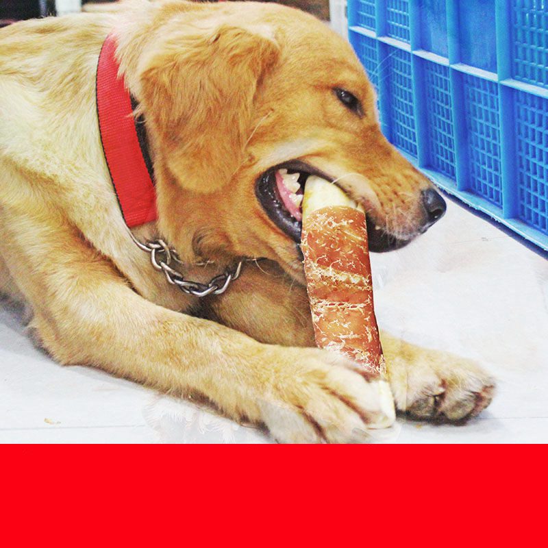 Dog Dental Chews