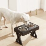 Pet Stainless Steel Folding Bowl - Portable Travel Feeder
