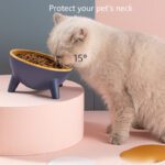 Cat Dog Bowl With Stand - Bunny Raised Pet Feeding Bowls