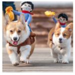 Riding Cowboy Dog Costume
