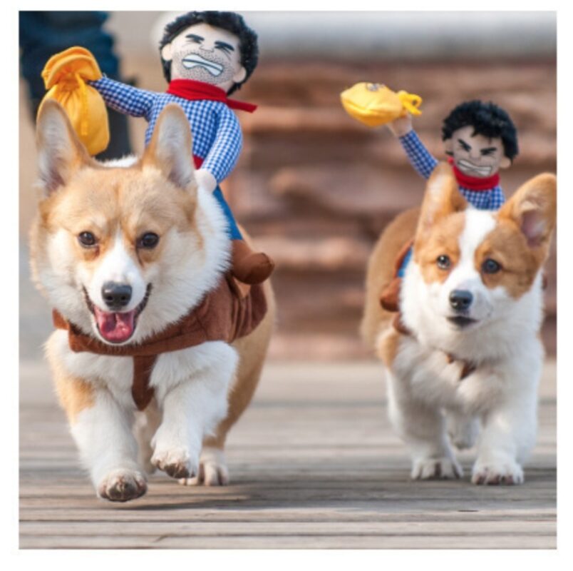 Riding Cowboy Dog Costume