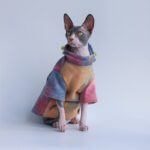 Pet Tie-Dye Velvet Warm Hoodie - Thick Cozy Sweater