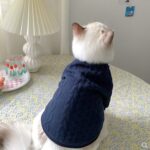 Cute Bow Cat Sweater