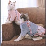 Traditional Chinese Style Cat Dress