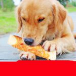 Dog Dental Chews