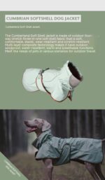 Premium Waterproof Dog Hiking Jacket - Windproof All Weather