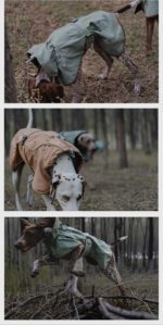 Premium Waterproof Dog Hiking Jacket - Windproof All Weather