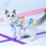 Cat Clothes Anti Hair Loss Cute Vest - Blue