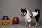Basketball Team Dog Jacket