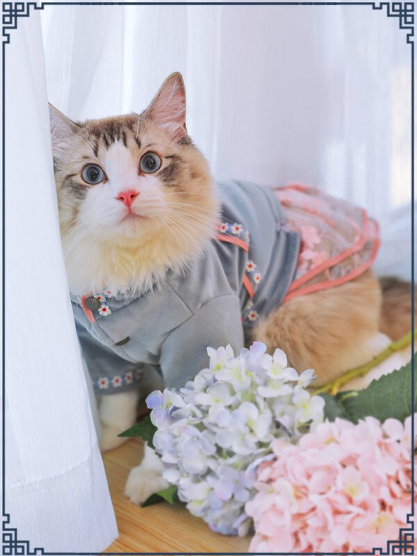 Traditional Chinese Style Cat Dress