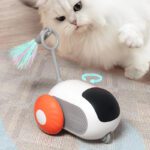 Remote Control Interactive Cat Car Toy - USB Charging