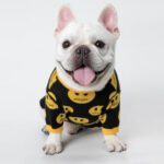Dog Cat Pet Clothes - Cute Outfit for Small Pets