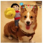 Riding Cowboy Dog Costume