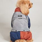 Color Block Padded Dog Jumpsuit - Warm Winter Snowsuit