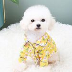 French Style Dog Pajamas