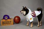 Basketball Team Dog Jacket
