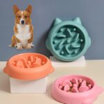 Pet Slow Feeder Bowls Anti Choking Slow Feed Dish