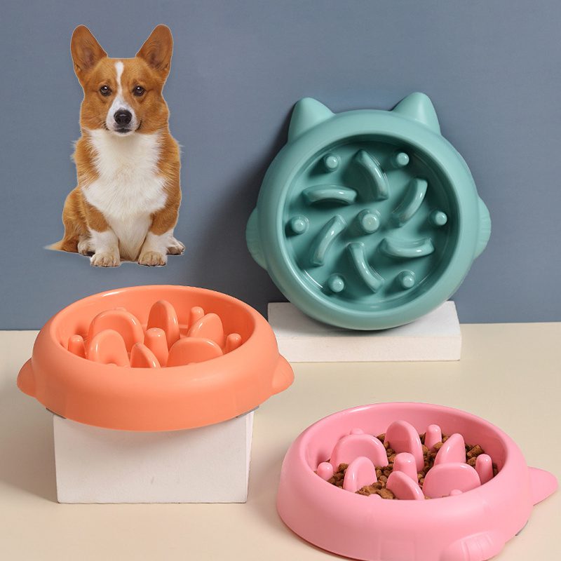 Pet Slow Feeder Bowls Anti Choking Slow Feed Dish