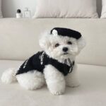 Luxury Tweed Pet Beret Hat