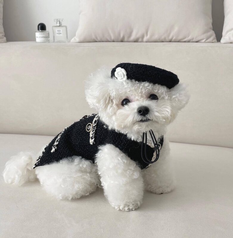 Luxury Tweed Pet Beret Hat