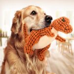 Dinosaur Pet Toys Giant Interactive Dog Toy