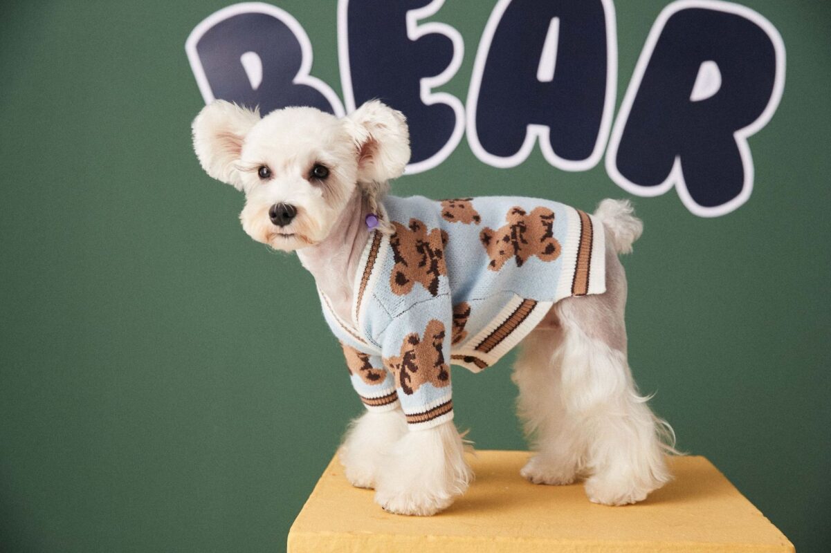Dog Cat Sweater - Preppy V-Neck Striped Vest