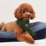 Christmas Knit Dog Scarf