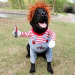Halloween Pet Costume - Funny Adjustable Dog Cat Outfit