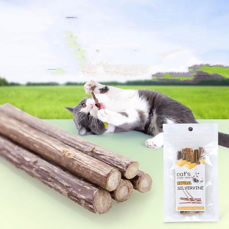 Cat Molar Rods Natural Wood Chew Sticks for Teeth Cleaning