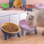 Cat Dog Bowl With Stand - Bunny Raised Pet Feeding Bowls