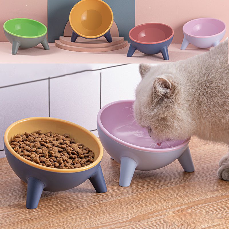 Cat Dog Bowl With Stand - Bunny Raised Pet Feeding Bowls