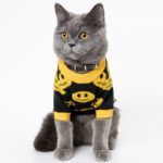 Dog Cat Pet Clothes - Cute Outfit for Small Pets