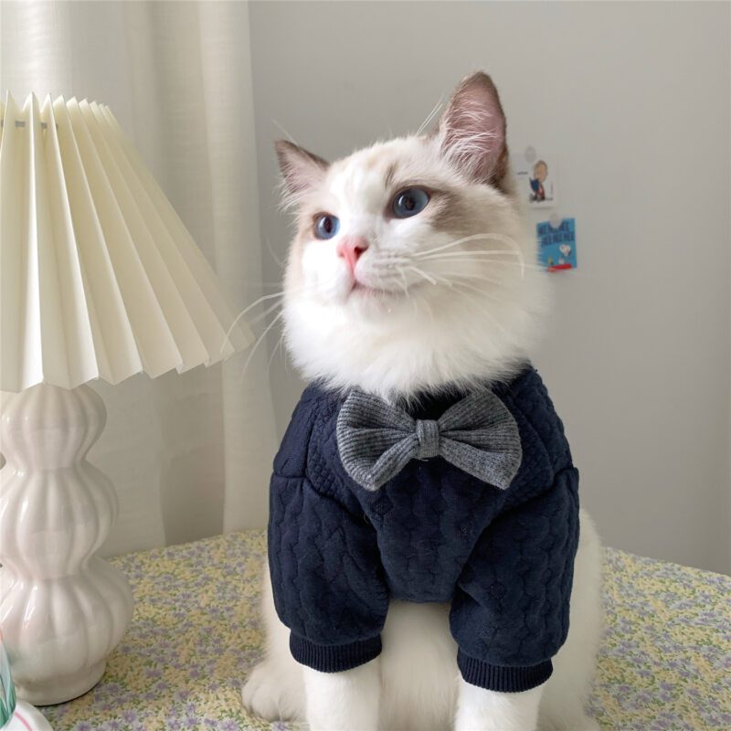 Cute Bow Cat Sweater